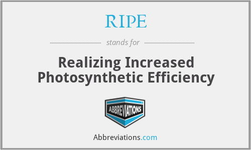 RIPE - Realizing Increased Photosynthetic Efficiency