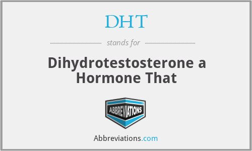 DHT - Dihydrotestosterone a Hormone That