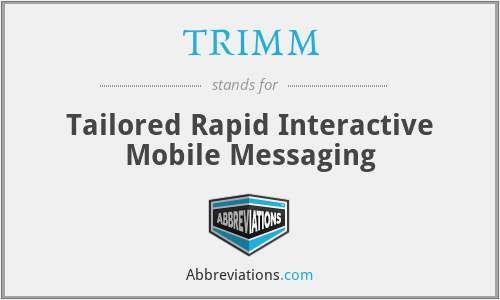 TRIMM - Tailored Rapid Interactive Mobile Messaging