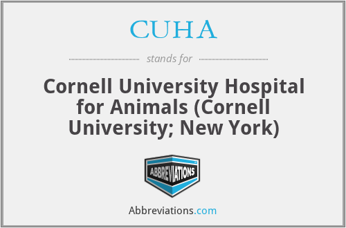 CUHA - Cornell University Hospital for Animals (Cornell University; New York)