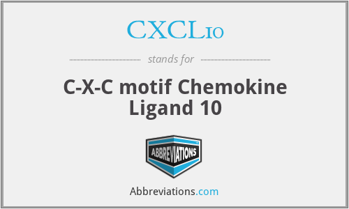 CXCL10 - C-X-C motif Chemokine Ligand 10