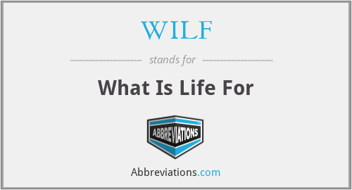 WILF - What Is Life For