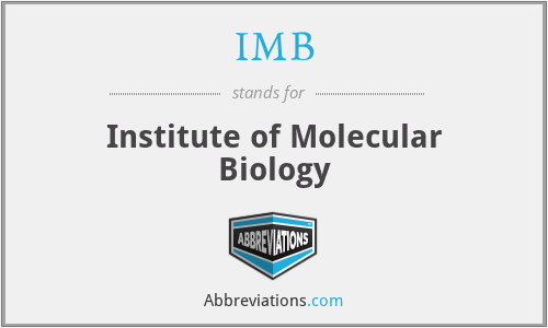 IMB - Institute of Molecular Biology