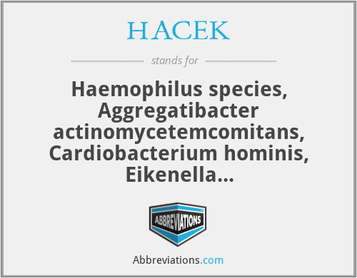 HACEK - Haemophilus species, Aggregatibacter actinomycetemcomitans, Cardiobacterium hominis, Eikenella corrodens,Kingella kingae.