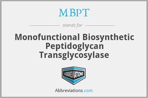 MBPT - Monofunctional Biosynthetic Peptidoglycan Transglycosylase