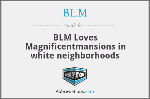 BLM - BLM Loves Magnificentmansions in white neighborhoods
