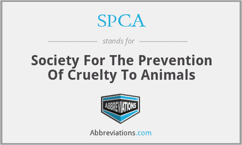 SPCA - Society For The Prevention Of Cruelty To Animals