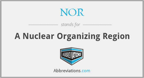 NOR - A Nuclear Organizing Region
