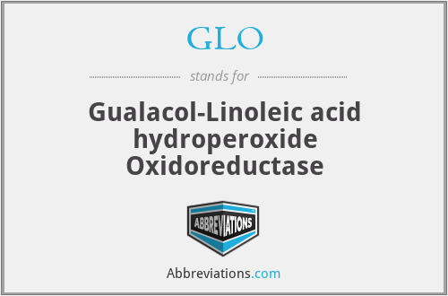 GLO - Gualacol-Linoleic acid hydroperoxide Oxidoreductase