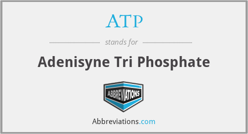 ATP - Adenisyne Tri Phosphate