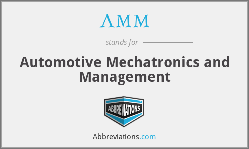 AMM - Automotive Mechatronics and Management
