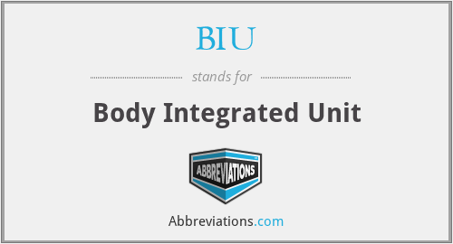 BIU - Body Integrated Unit
