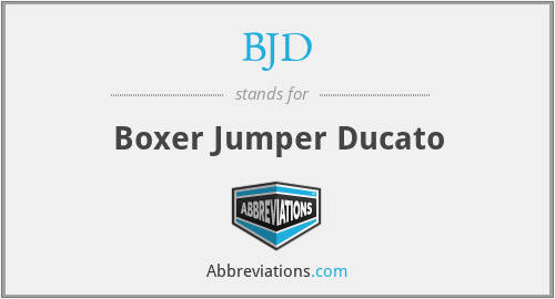 BJD - Boxer Jumper Ducato