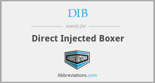 DIB - Direct Injected Boxer