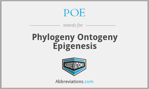 POE - Phylogeny Ontogeny Epigenesis