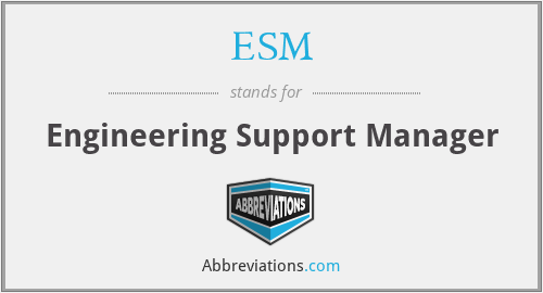 ESM - Engineering Support Manager