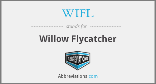 WIFL - Willow Flycatcher