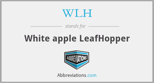 WLH - White apple LeafHopper