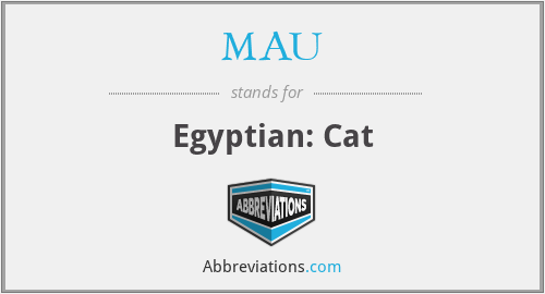MAU - Egyptian: Cat