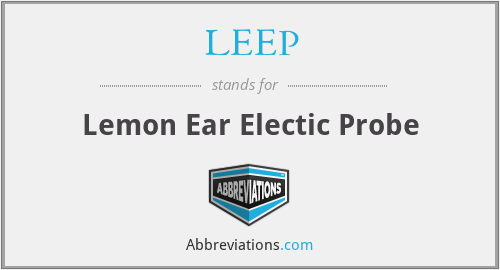 LEEP - Lemon Ear Electic Probe