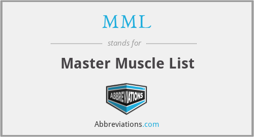 MML - Master Muscle List