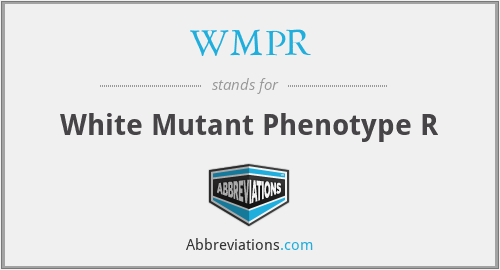 WMPR - White Mutant Phenotype R