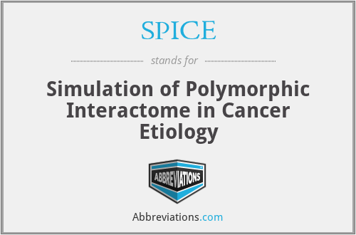 SPICE - Simulation of Polymorphic Interactome in Cancer Etiology