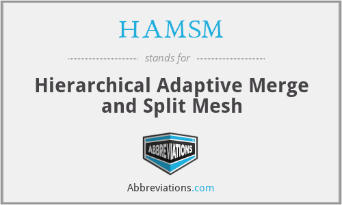 HAMSM - Hierarchical Adaptive Merge and Split Mesh