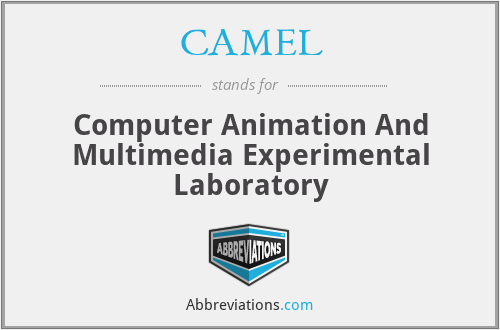 CAMEL - Computer Animation And Multimedia Experimental Laboratory