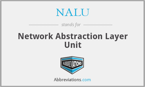NALU - Network Abstraction Layer Unit