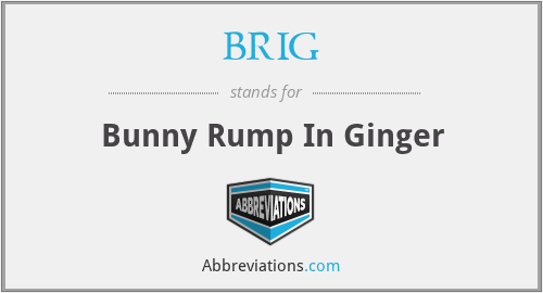 BRIG - Bunny Rump In Ginger