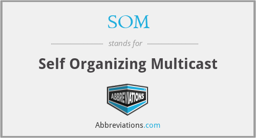 SOM - Self Organizing Multicast