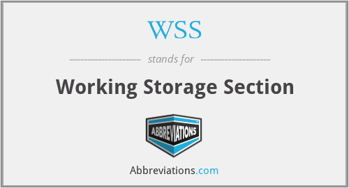 WSS - Working Storage Section