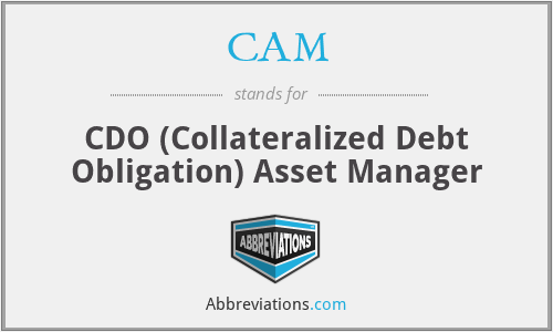 CAM - CDO (Collateralized Debt Obligation) Asset Manager