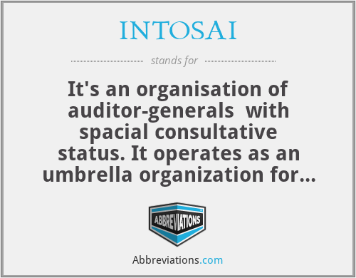 INTOSAI - It's an organisation of auditor-generals  with spacial consultative status. It operates as an umbrella organization for the external government audit community