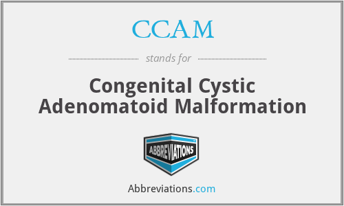 CCAM - Congenital Cystic Adenomatoid Malformation