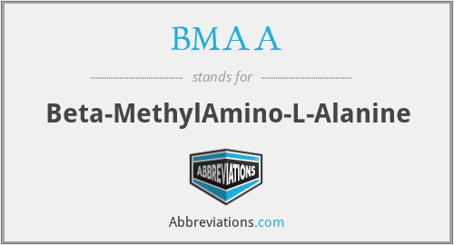 BMAA - Beta-MethylAmino-L-Alanine