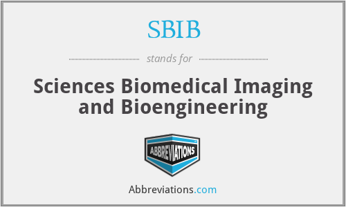 SBIB - Sciences Biomedical Imaging and Bioengineering