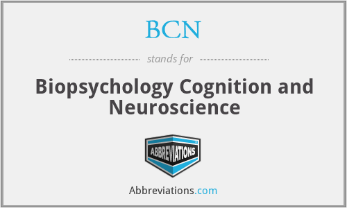 BCN - Biopsychology Cognition and Neuroscience