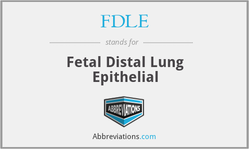 FDLE - Fetal Distal Lung Epithelial