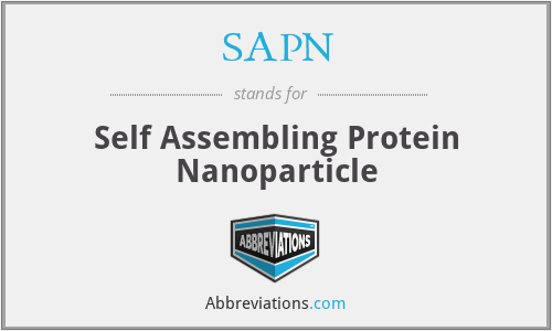 SAPN - Self Assembling Protein Nanoparticle
