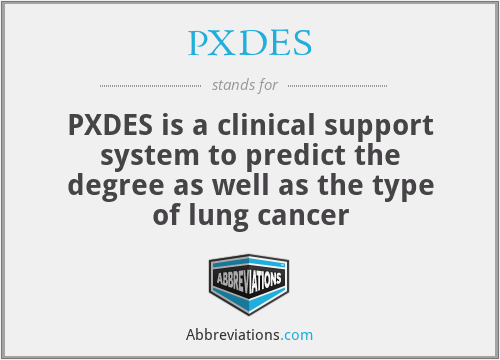 PXDES - PXDES is a clinical support system to predict the degree as well as the type of lung cancer