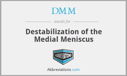DMM - Destabilization of the Medial Meniscus