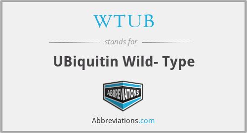 WTUB - UBiquitin Wild- Type