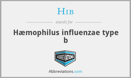 Hib - Hæmophilus influenzae type b