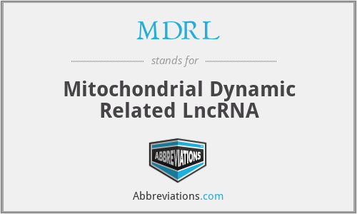 MDRL - Mitochondrial Dynamic Related LncRNA