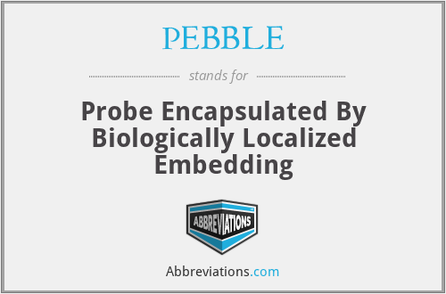 PEBBLE - Probe Encapsulated By Biologically Localized Embedding