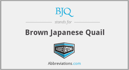 BJQ - Brown Japanese Quail