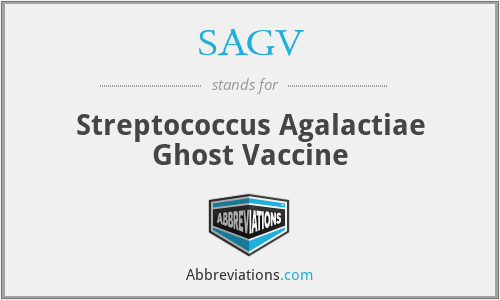 SAGV - Streptococcus Agalactiae Ghost Vaccine