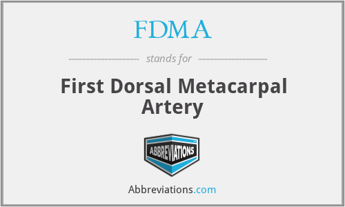 FDMA - First Dorsal Metacarpal Artery